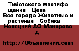  Тибетского мастифа щенки › Цена ­ 10 000 - Все города Животные и растения » Собаки   . Ненецкий АО,Макарово д.